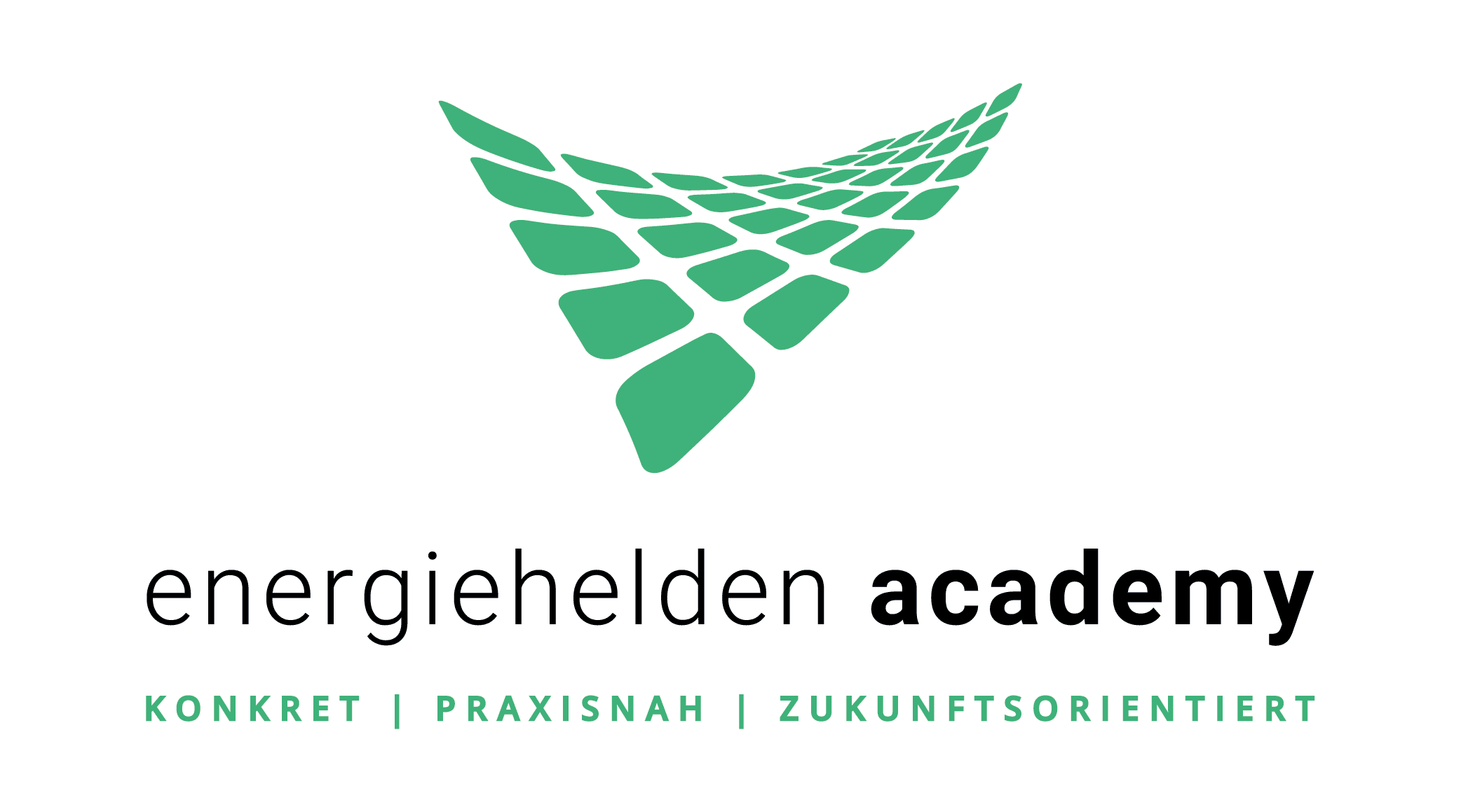 energiehelden academy - Anna Sauter-Getschmann